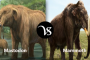 Difference between marketing and advertising
