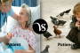 Differences between illness and disease