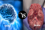 Difference between prose and poetry