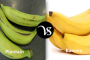 Difference between shampoo and conditioner