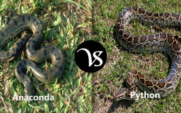 Anaconda And Python Difference - Anaconda Gallery