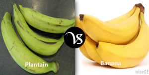 Difference between plantain and banana - Difference All